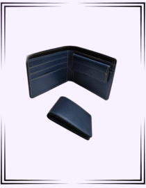 RCoin Blue